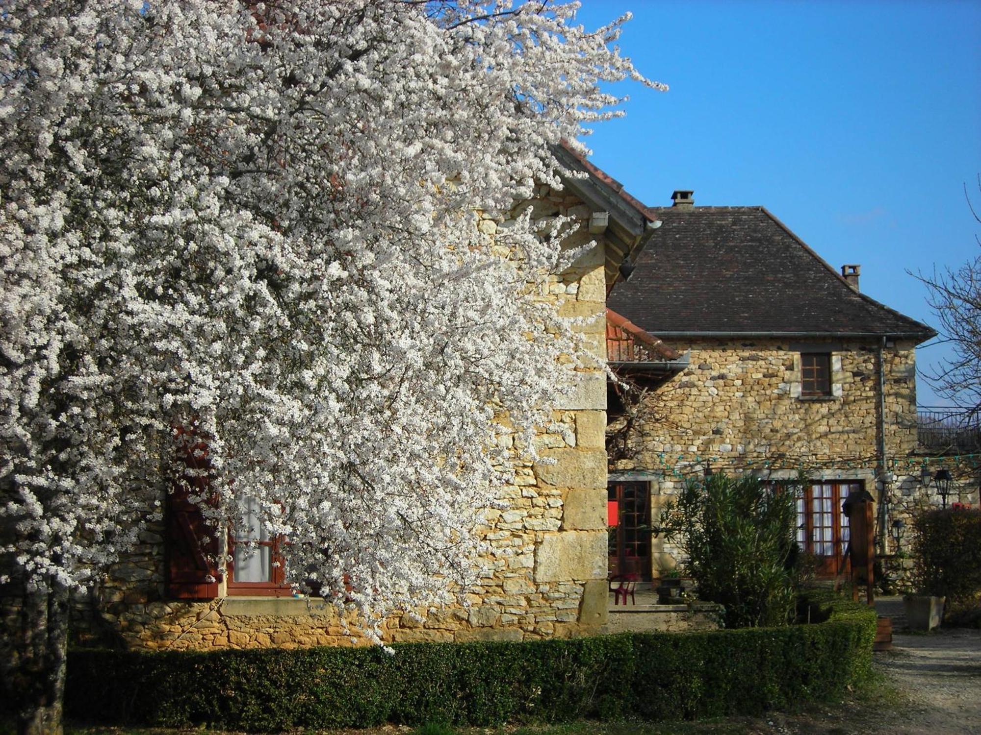 Hotel Chastrusse Nadaillac-de-Rouge Esterno foto